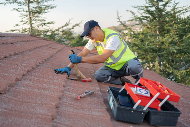 Roof Gutter Cleaning in Patterson Tract, CA